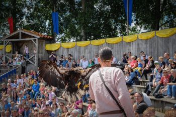 roofvogelshow-EVENTS HERSTEL (1 van 1) (1).jpg